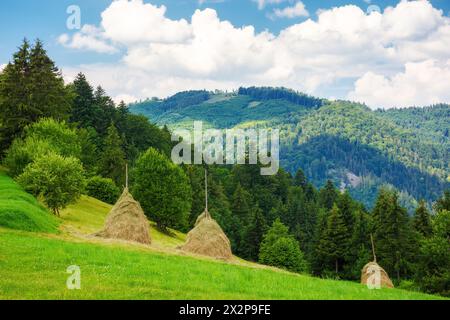 Ländliche Landschaft von transkarpaten, ukraine im Sommer. Heuhaufen auf dem grasbewachsenen Hügel. Bergige karpaten Landschaft an einem sonnigen Tag mit Wolken auf dem Stockfoto