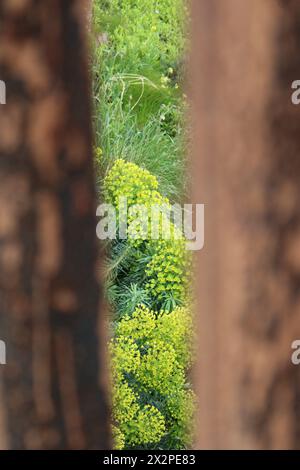 Mayfield Depot der neueste Stadtpark von Manchester Stockfoto