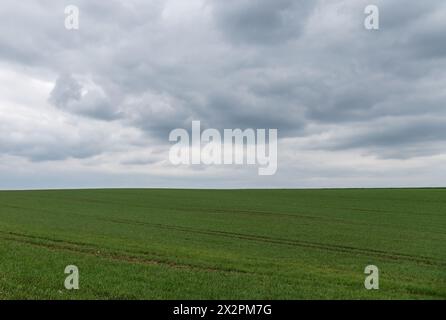 Rottweil, Deutschland. April 2024. Dunkle Wolken sammeln sich über einem Feld in der Nähe von Rottweil. Quelle: Silas Stein/dpa/Alamy Live News Stockfoto