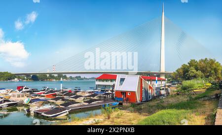 Herrlicher Blick auf die Ada-Brücke oder alternativ die Save-Brücke - eine Kabelbrücke über die Save. Standort: Belgrad, Serbien, Europa. Stockfoto