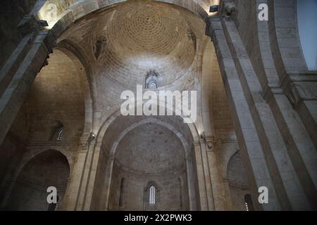Das Gewölbe der Kirche St. Anne, Jerusalem Stockfoto