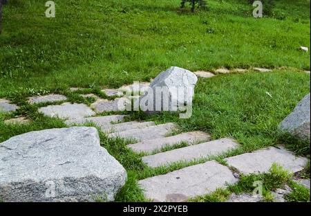 Steine und Steintreppen zwischen üppig grünem Gras Stockfoto