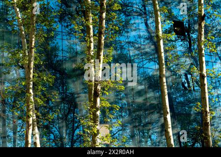 Koexistenz, konzeptionelle Kunstfotografie von Hoofar Haghighi. Stockfoto