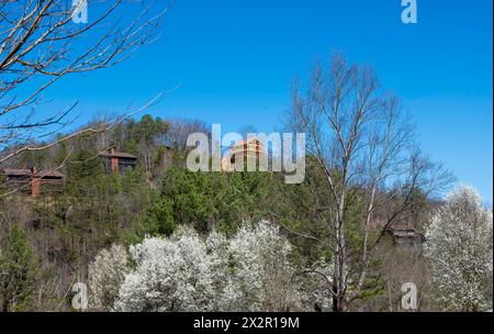 Mehrere Häuser auf der Seite eines Hügels mit Waldbäumen und blühenden Bäumen, an einem schönen Frühlingstag mit einem klaren blauen Himmel. Stockfoto