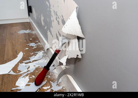Entfernen von Silikonfarbe von einer Wand, die durch Hundeklauen beschädigt wurde, mit einem Schaber für Farbe und Klebstoffe. Stockfoto