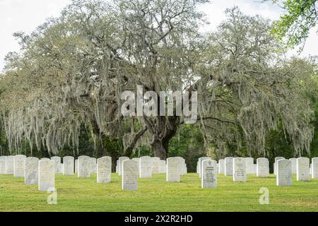 Grabsteine von US-Militärveteranen auf dem Florida National Cemetery in Bushnell, Florida. (USA) Stockfoto