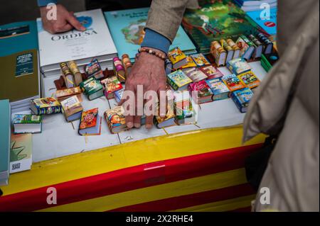 Das Buch steht auf dem Paseo Independencia während der Feier des Heiligen Georgs (San Jorge) in Saragossa, Aragonien, Spanien Stockfoto