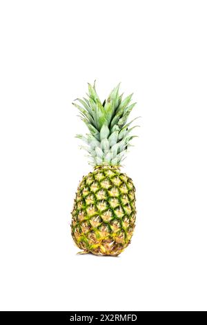 Frische ganze Ananas isoliert auf weißem Hintergrund. Stockfoto