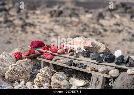 Souvenirs auto Spielzeug am Lac Assal, der tiefste Punkt auf dem afrikanischen Kontinent, Dschibuti Stockfoto