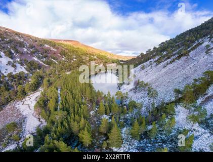 Großbritannien, Schottland, Aviemore, aus der Vogelperspektive eines Lochan Uaine im Glenmore Forest Park Stockfoto