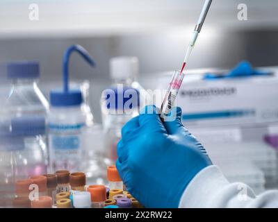 Pathologe, der Blutproben im Labor pipettiert Stockfoto