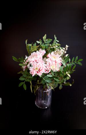 Strauß aus weißen Chrysanthemen mit rosa Blüten und grünen Blättern in einer Glasvase auf schwarzem Hintergrund Stockfoto