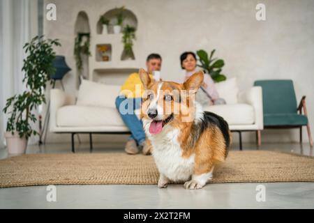 Hund sitzt auf Teppich vor dem Paar zu Hause Stockfoto