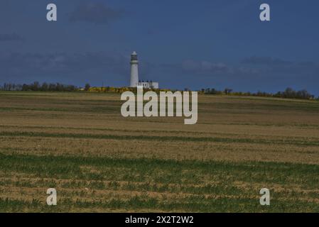 Flamborough Head Lighthouse, erbaut 1806, East Riding of Yorkshire, England, Großbritannien Stockfoto