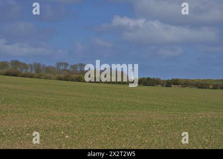 Flamborough Head Lighthouse, erbaut 1806, East Riding of Yorkshire, England, Großbritannien Stockfoto