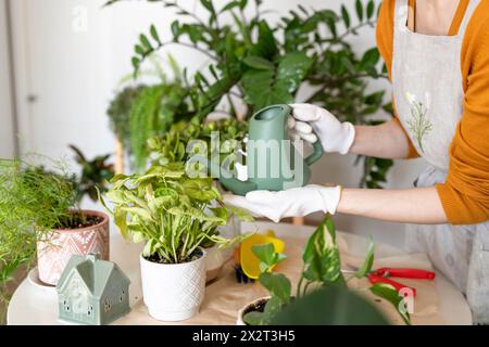 Hände einer Frau, die Pflanzen im Kindergarten tränkt Stockfoto