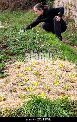 Pflanzen von landwirtschaftlichen Samen auf einem Bett im Garten