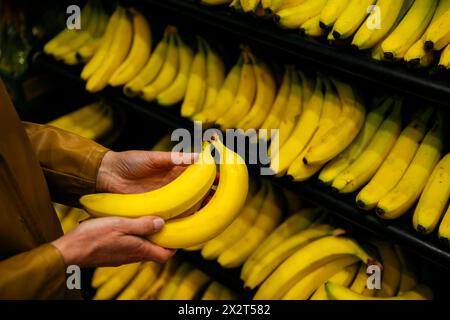 Hände einer Frau, die frische gelbe Bananen im Supermarkt kauft Stockfoto