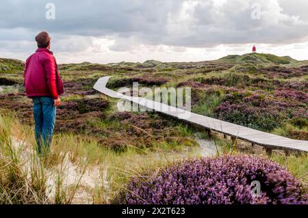 Deutschland, Schleswig-Holstein, Amrum, ein Mann, der auf eine Promenade blickt, die sich durch Heidemoor erstreckt Stockfoto