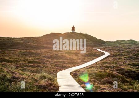 Deutschland, Schleswig-Holstein, Amrum, Boardwalk, der sich durch Heidemoor zum Leuchtturm im Hintergrund erstreckt Stockfoto