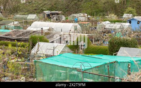 Kleingärten, Schuppen, Gewächshäuser und Gartengrundstücke für den Anbau von Gemüse und Blumen Stockfoto