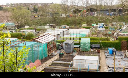 Kleingärten, Schuppen, Gewächshäuser und Gartengrundstücke für den Anbau von Gemüse und Blumen Stockfoto