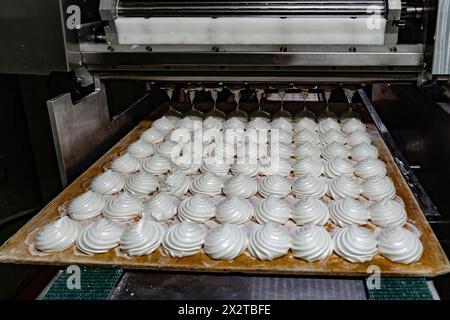 Süßwarenfabrik. Zephyr und Marshmallows Formmaschine. Stockfoto