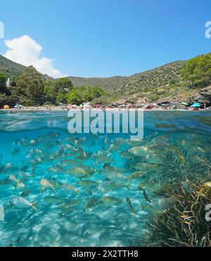 Mittelmeerküste in Spanien, Strand im Sommer und Fischschwärme unter Wasser, geteilter Blick über und unter der Wasseroberfläche, natürliche Szene, Costa Brava Stockfoto