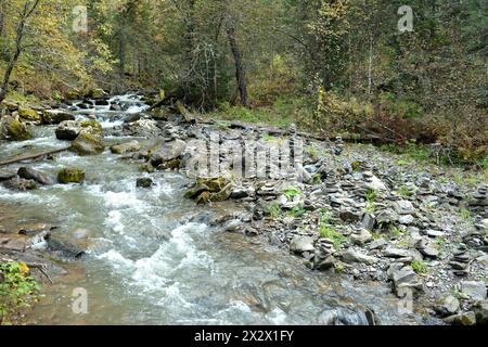 Der sterile Bach eines stürmischen Bergflusses, der sich um die Steine in seinem Bett beugt, fließt durch den Herbstmorgenwald. Theveneck River (Dritte R Stockfoto