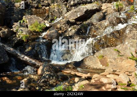 Ein stürmischer Fluss fließt von den Bergen in einer Kaskade von Wasserfällen herunter und biegt sich an einem sonnigen Sommerabend um Steine. Wasserfall Rainbow Sayan, Nat Stockfoto