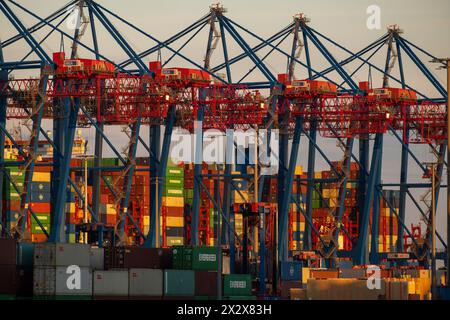 31.08.2022, Hamburg, Deutschland - Containerbrücken am Containerterminal Tollerort (CTT) der HHLA. 00A220831D443CAROEX.JPG [MODELLVERSION: Stockfoto