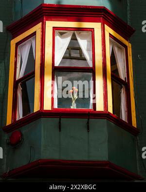 Ein Foto von ein paar Tulpen in einem Glas, beleuchtet von der Morgensonne durch ein Erkerfenster eines historischen Gebäudes in der Shanghai Alley in Chinatown Stockfoto
