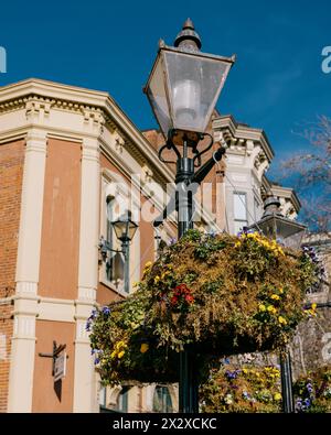 Blumenkörbe hängen an einer alten Straßenlaterne am Bastion Square mit historischen Gebäuden im Hintergrund und einem tiefblauen Himmel Stockfoto