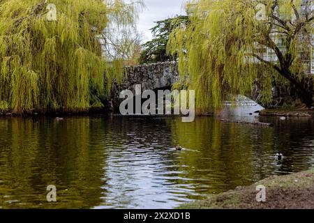 Die Stone Bridge über den Goodacre Lake im Beacon Hill Park, Victoria, BC, mit Trauerweiden, Zedern, und andere Bäume um sie herum. Stockfoto