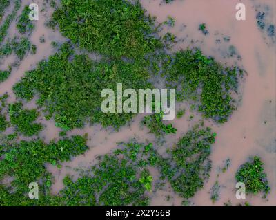 Kleiner Sumpf im Fluss Ribeirao Sao Joao in Itaja Goias Stockfoto