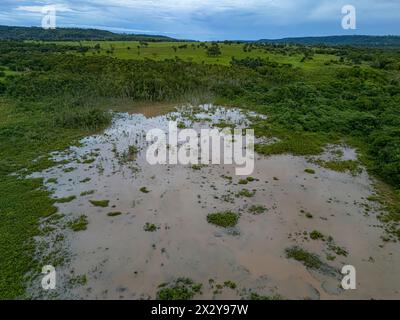 Kleiner Sumpf im Fluss Ribeirao Sao Joao in Itaja Goias Stockfoto