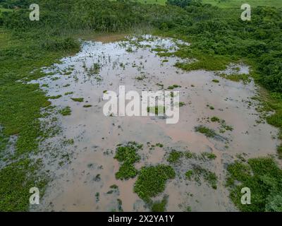 Kleiner Sumpf im Fluss Ribeirao Sao Joao in Itaja Goias Stockfoto