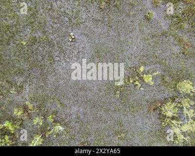 Kleiner Sumpf im Fluss Ribeirao Sao Joao in Itaja Goias Stockfoto