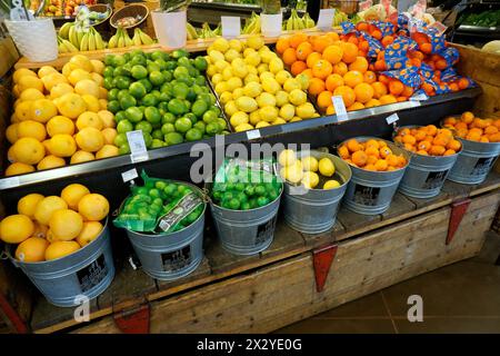 Zitronen, Limetten und Orangen Zitrusfrüchte werden in einem Lebensmittelgeschäft ausgestellt Stockfoto