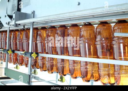 Viele braune Kunststoffflaschen werden in einer großen Brauerei auf Förderband transportiert. Stockfoto