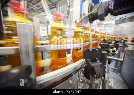 Gelbe Plastikflaschen mit leichtem Bier werden in einer großen Brauerei auf Förderband gebracht. Stockfoto