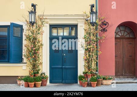 Alte Eingangstür an einer alten Gebäudefassade, die mit Blumen und Frühlingsblumen in Töpfen dekoriert ist. Stockfoto