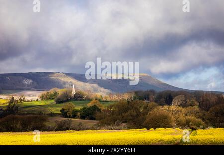 Spektakuläre Ausblicke auf Rapsfelder, Berwick Church und die südlichen Downs von der Milton Street im Osten Sussex im Südosten Englands Großbritannien Stockfoto