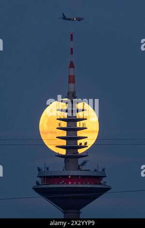 Vollmond der Vollmond zieht hinter der Spitze des Europaturms in Frankfurt am Main vorbei. Frankfurt am Main Hessen Deutschland *** Vollmond der Vollmond vergeht hinter der Spitze des Europaturms in Frankfurt am Main Frankfurt am Main Hessen Deutschland 2024-04-23 ffm vollmond europaturm 01 Stockfoto