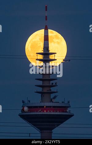 Vollmond der Vollmond zieht hinter der Spitze des Europaturms in Frankfurt am Main vorbei. Frankfurt am Main Hessen Deutschland *** Vollmond der Vollmond vergeht hinter der Spitze des Europaturms in Frankfurt am Main Frankfurt am Main Hessen Deutschland 2024-04-23 ffm vollmond europaturm 03 Stockfoto