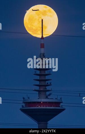 Vollmond der Vollmond zieht hinter der Spitze des Europaturms in Frankfurt am Main vorbei. Frankfurt am Main Hessen Deutschland *** Vollmond der Vollmond vergeht hinter der Spitze des Europaturms in Frankfurt am Main Frankfurt am Main Hessen Deutschland 2024-04-23 ffm vollmond europaturm 04 Stockfoto