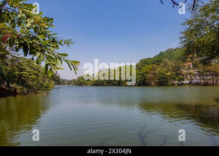Panoramablick auf den Kandy Lake im Zentrum von Kandy, Sri Lanka Stockfoto