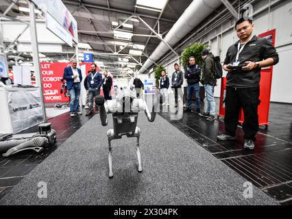 Hannover, Deutschland. April 2024. Ein Mitarbeiter von Hangzhou Yushu Technology Co., Ltd. (1st R) demonstriert einen Roboterhund auf der Hannover Messe 2024 in Hannover, Deutschland, 22. April 2024. Die Ausstellung, die sich mit dem Thema „Energie für eine nachhaltige Industrie“ befasst, findet bis Freitag statt und zog fast 4.000 Aussteller aus rund 60 Ländern und Regionen an. Unter ihnen machten chinesische Aussteller 30 Prozent der Teilnehmer aus, nach Angaben des Veranstalters hinter Deutschland an zweiter Stelle. Quelle: Ren Pengfei/Xinhua/Alamy Live News Stockfoto