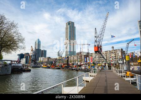 Malerischer Blick auf den Hafen ¨Leuvehaven¨ im Zentrum von Rotterdam, Niederlande. Stockfoto