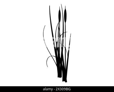 Cattail Silhouette Vektorgrafik Stock Vektor